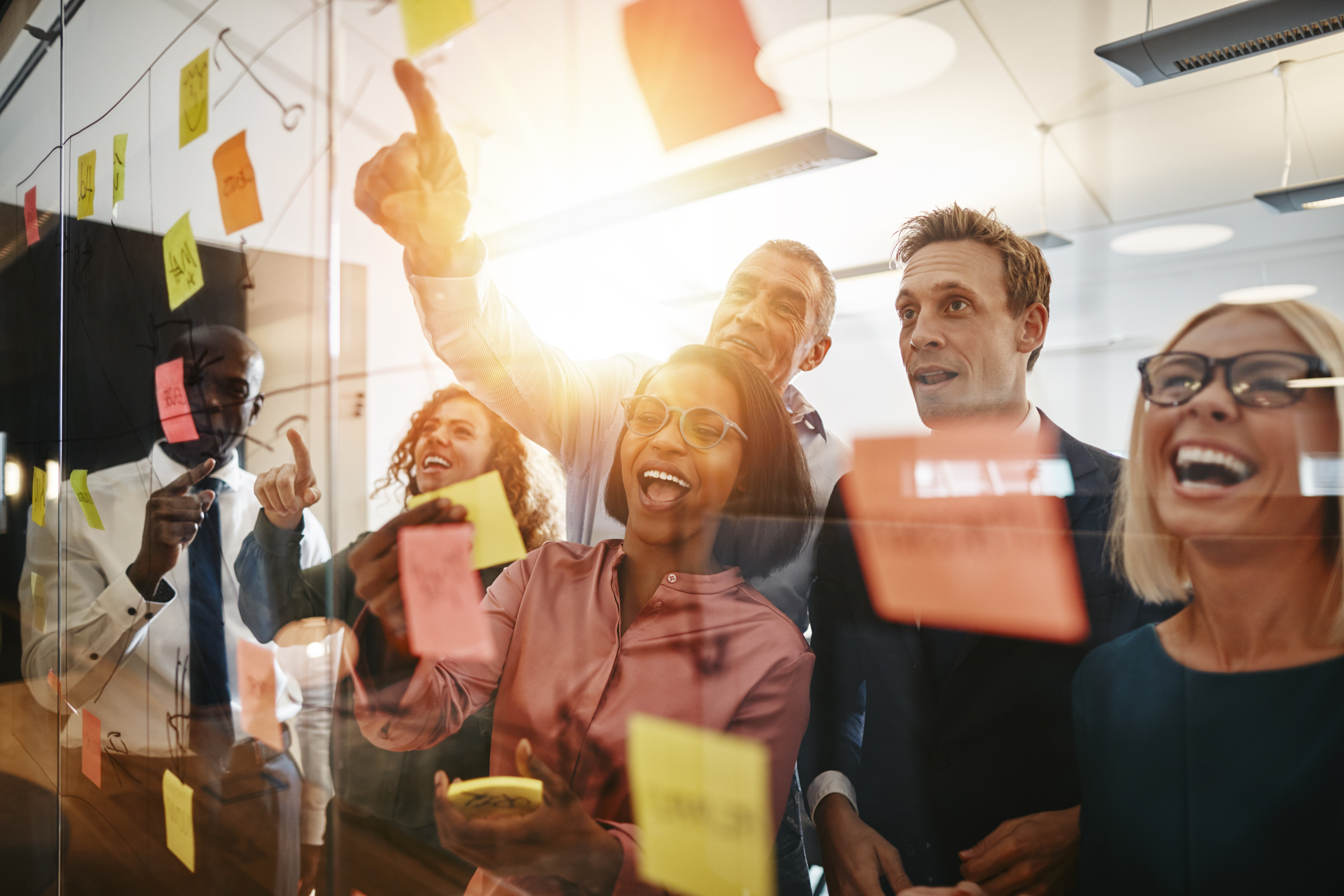 Team Ownership Freedom